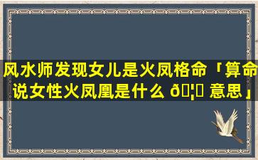 风水师发现女儿是火凤格命「算命说女性火凤凰是什么 🦅 意思」